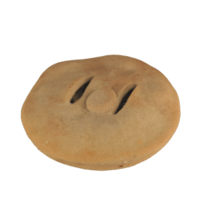 Pie Beef and Mushroom